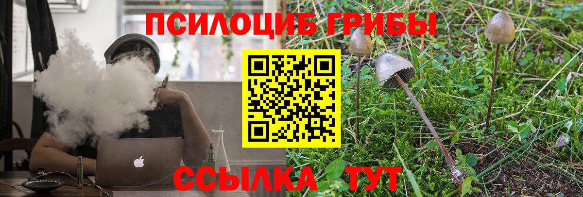 Галлюциногенные грибы Magic Shrooms  Вход с VPN  Корсаков 